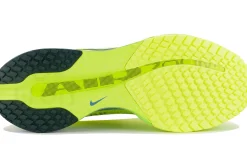Nike Pegasus Premium