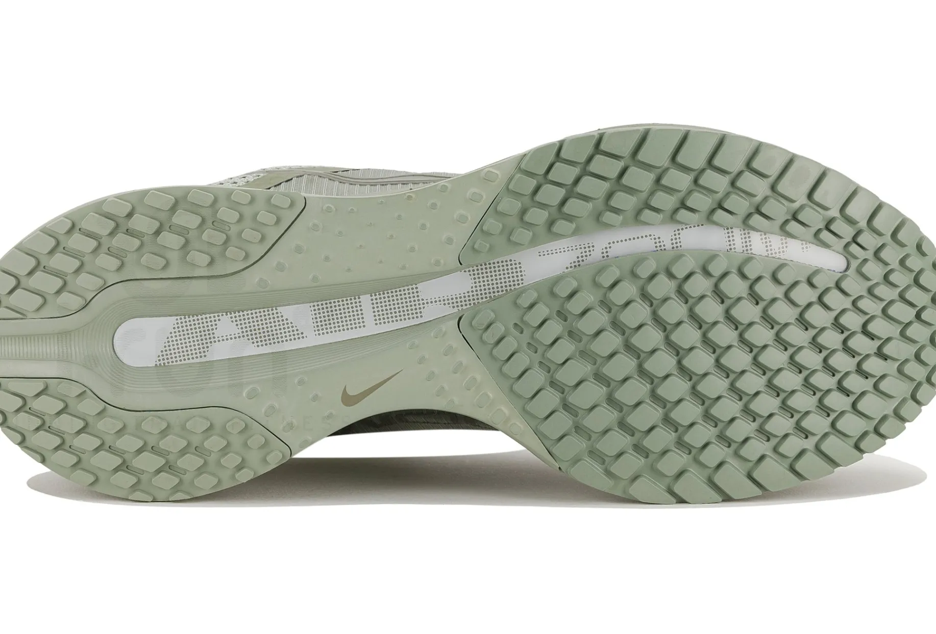 Nike Pegasus Premium