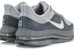 Nike Pegasus Premium