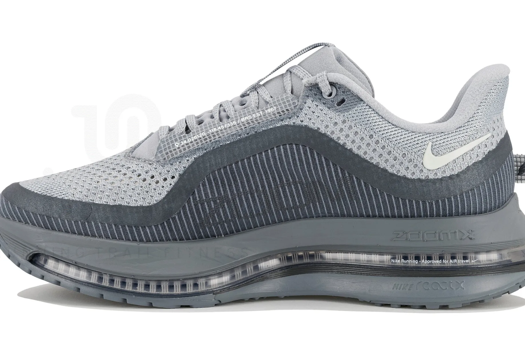 Nike Pegasus Premium