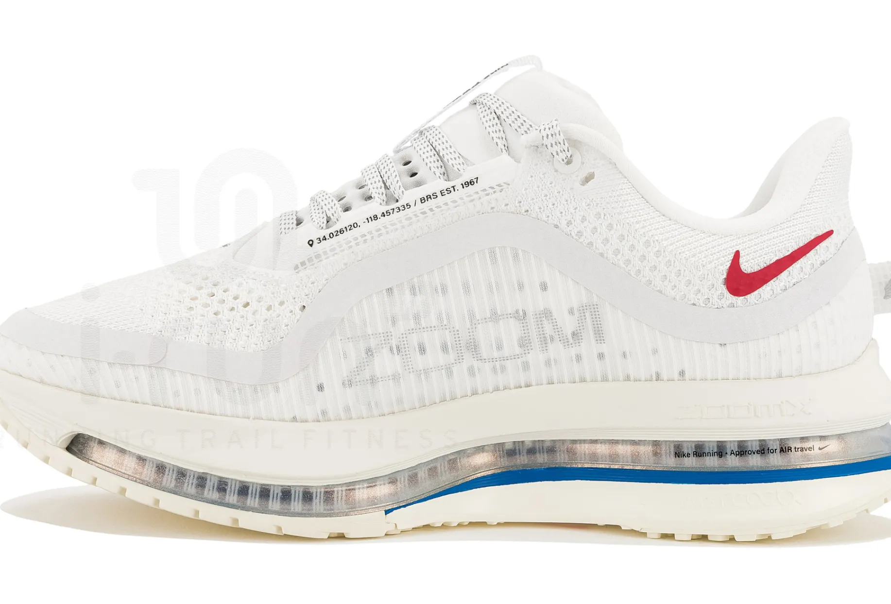 Nike Pegasus Premium