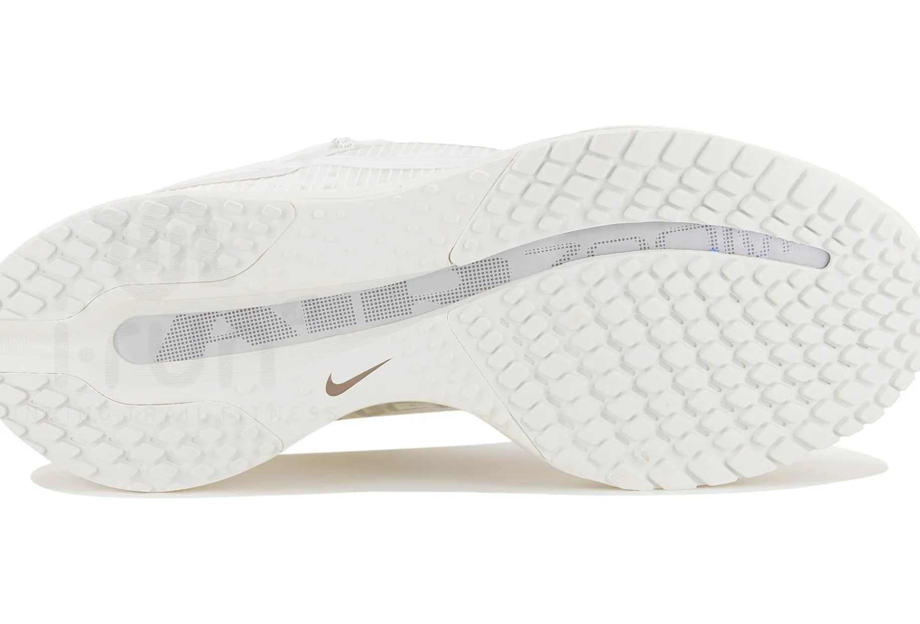 Nike Pegasus Premium Mother Of Pearls