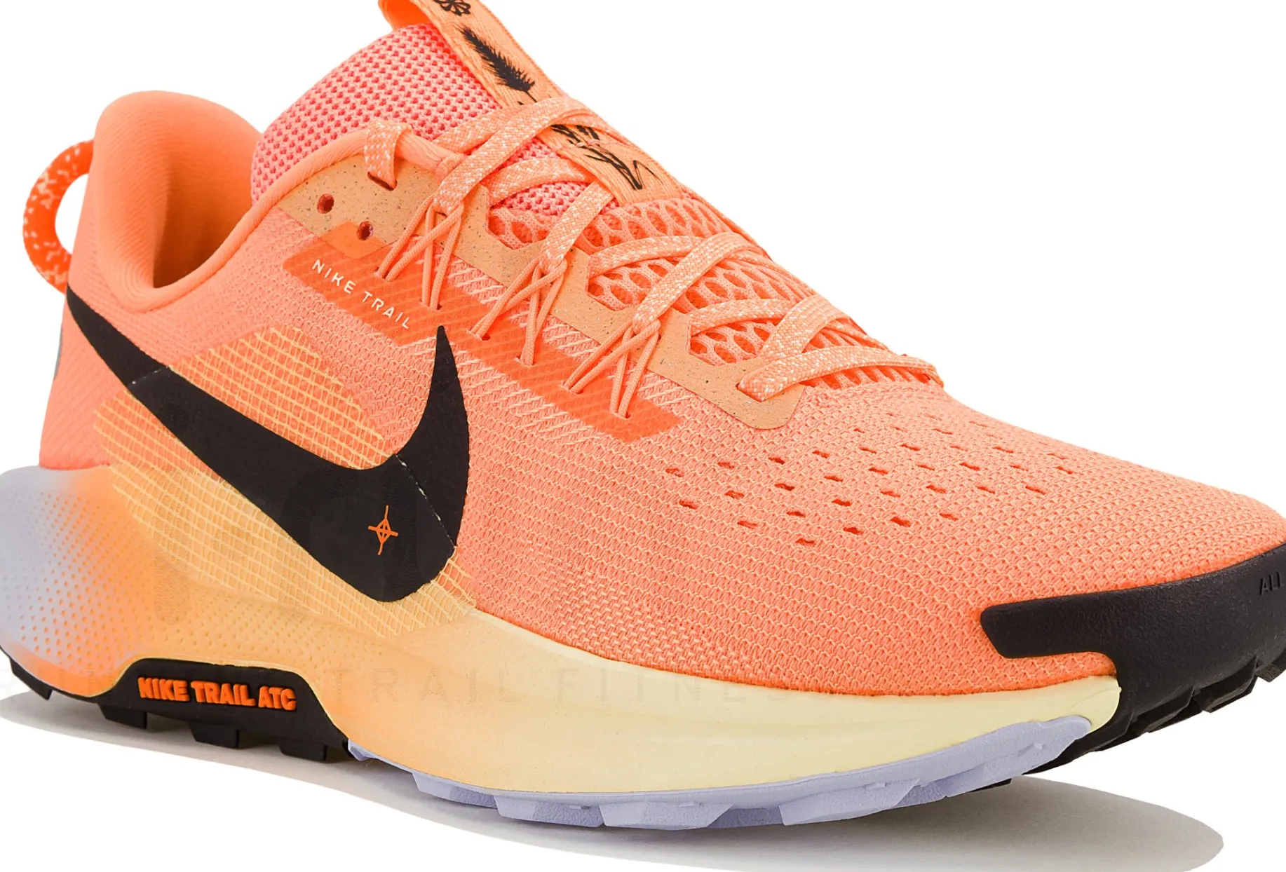 Nike Pegasus Trail 5