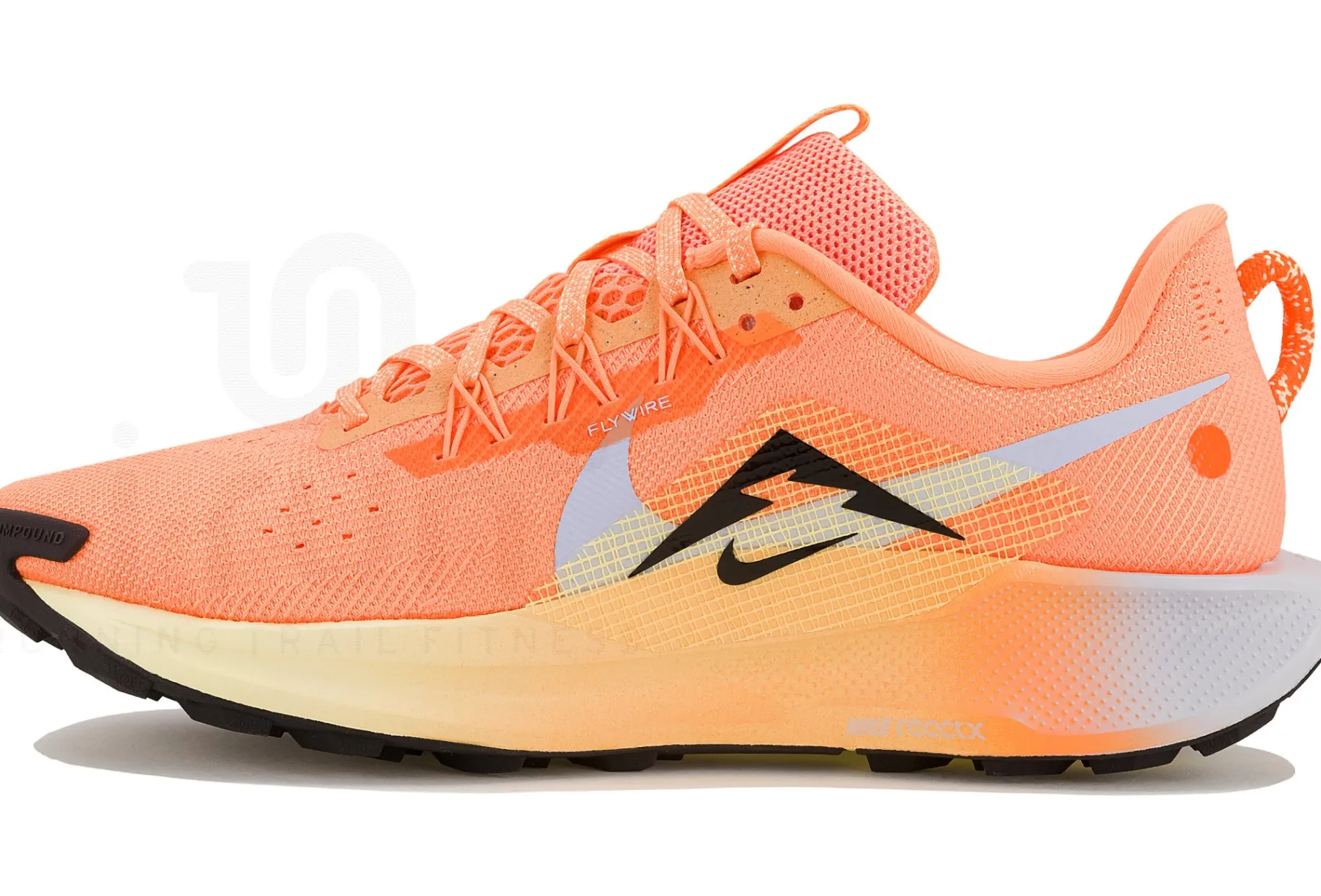 Nike Pegasus Trail 5