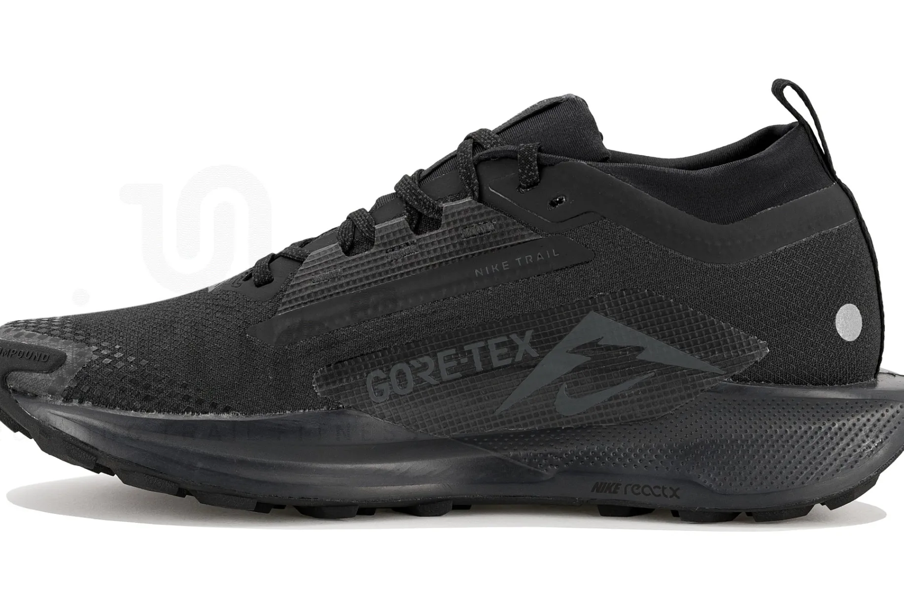 Nike Pegasus Trail 5 Gore-Tex