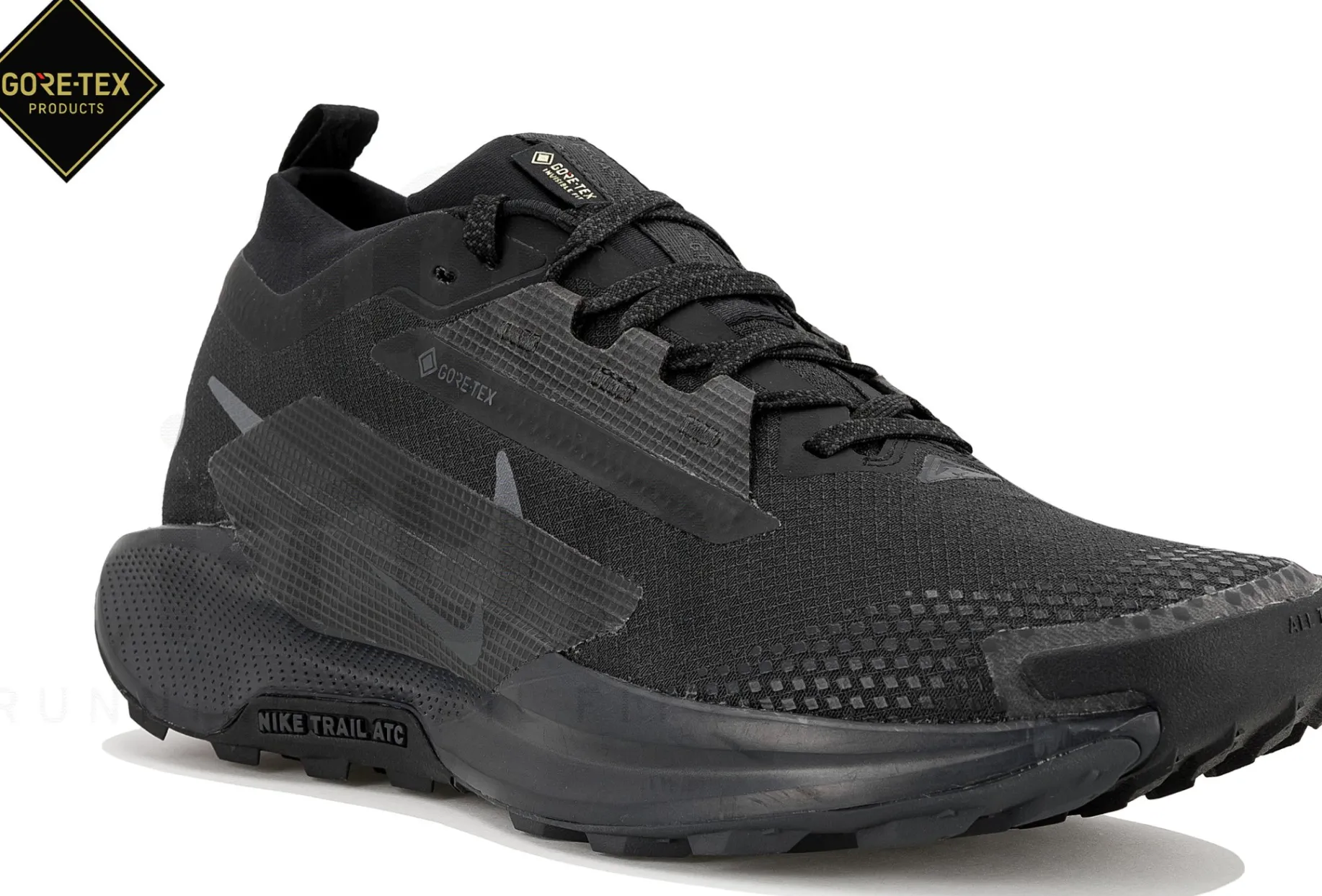 Nike Pegasus Trail 5 Gore-Tex