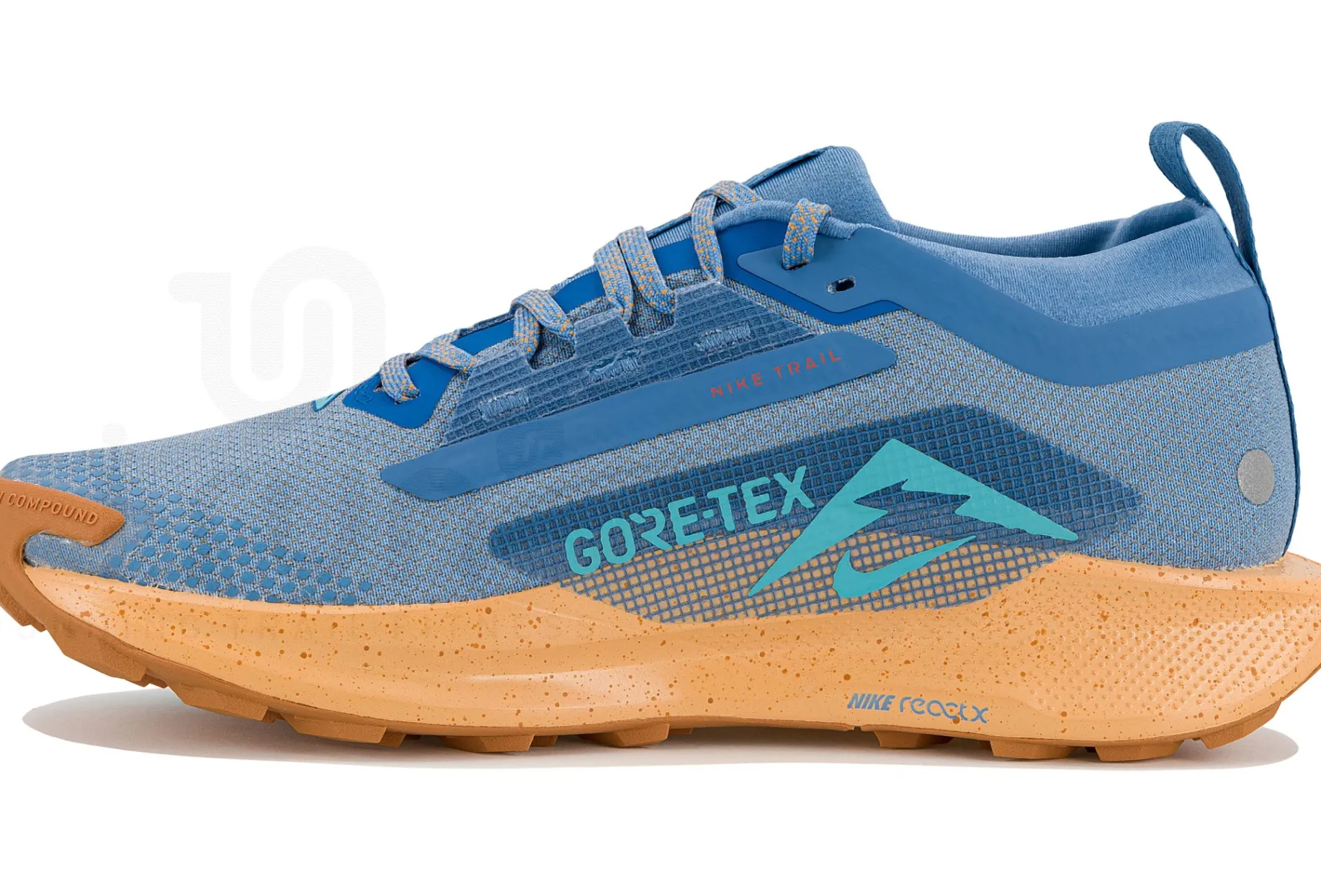 Nike Pegasus Trail 5 Gore-Tex