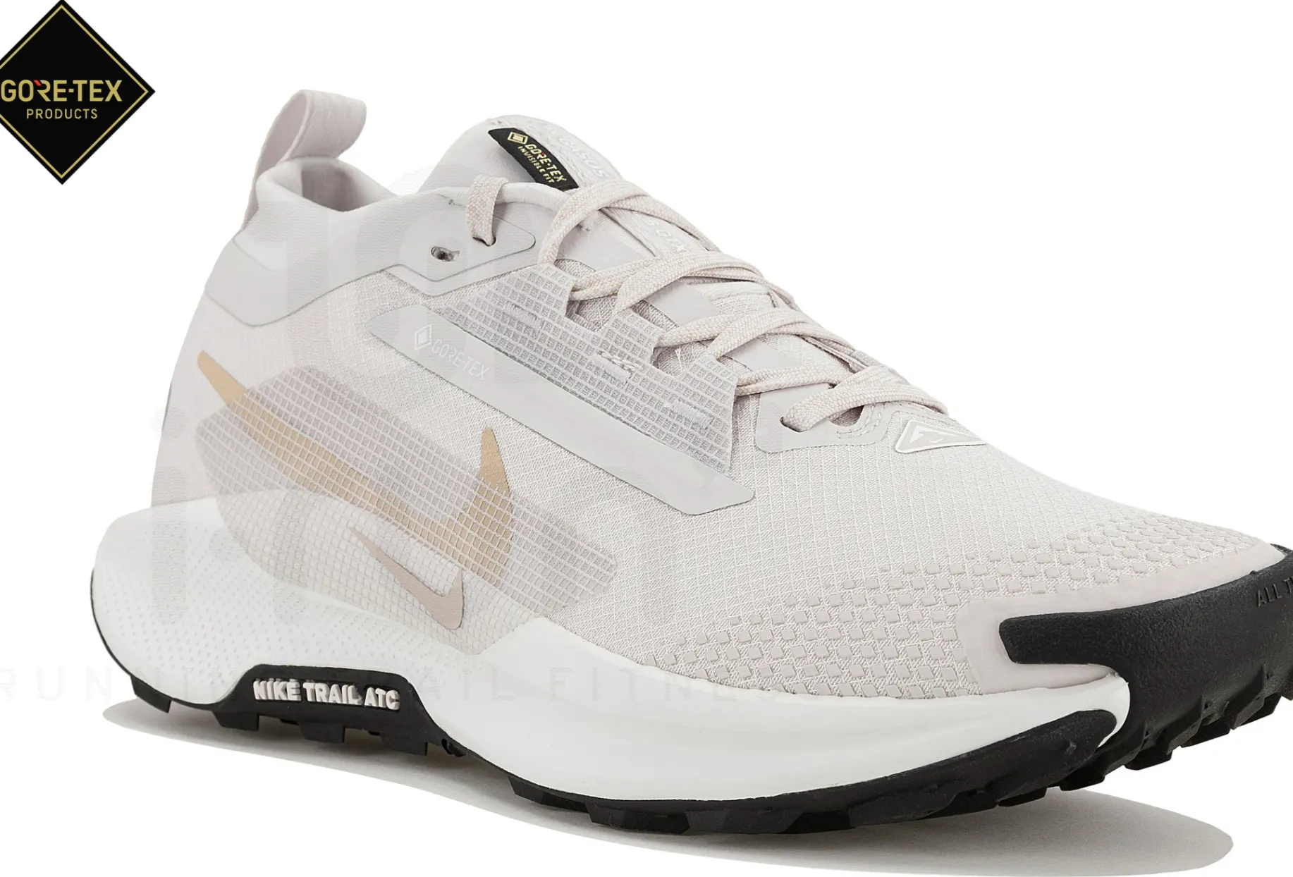 Nike Pegasus Trail 5 Gore-Tex