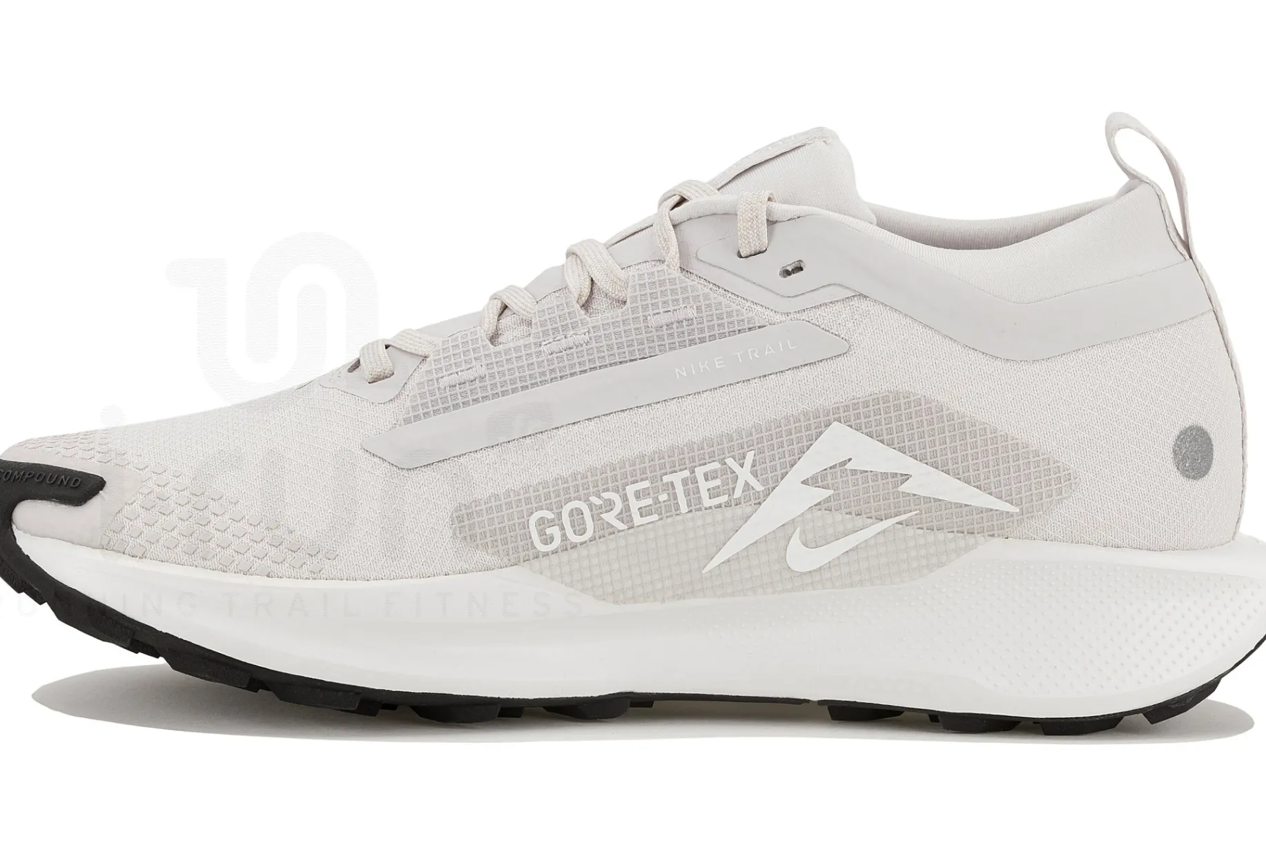 Nike Pegasus Trail 5 Gore-Tex
