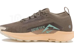 Nike Pegasus Trail 5 Gore-Tex