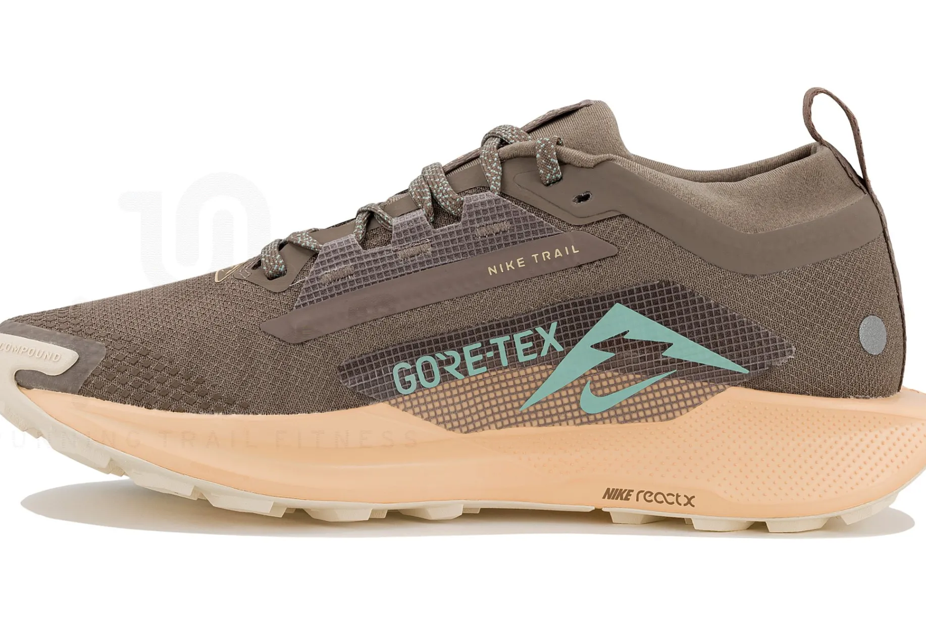 Nike Pegasus Trail 5 Gore-Tex