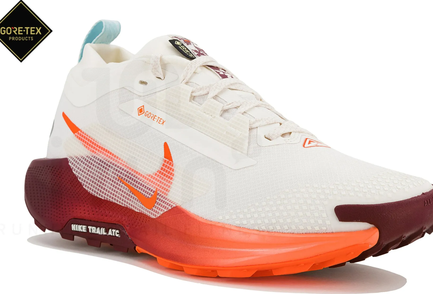 Nike Pegasus Trail 5 Gore-Tex