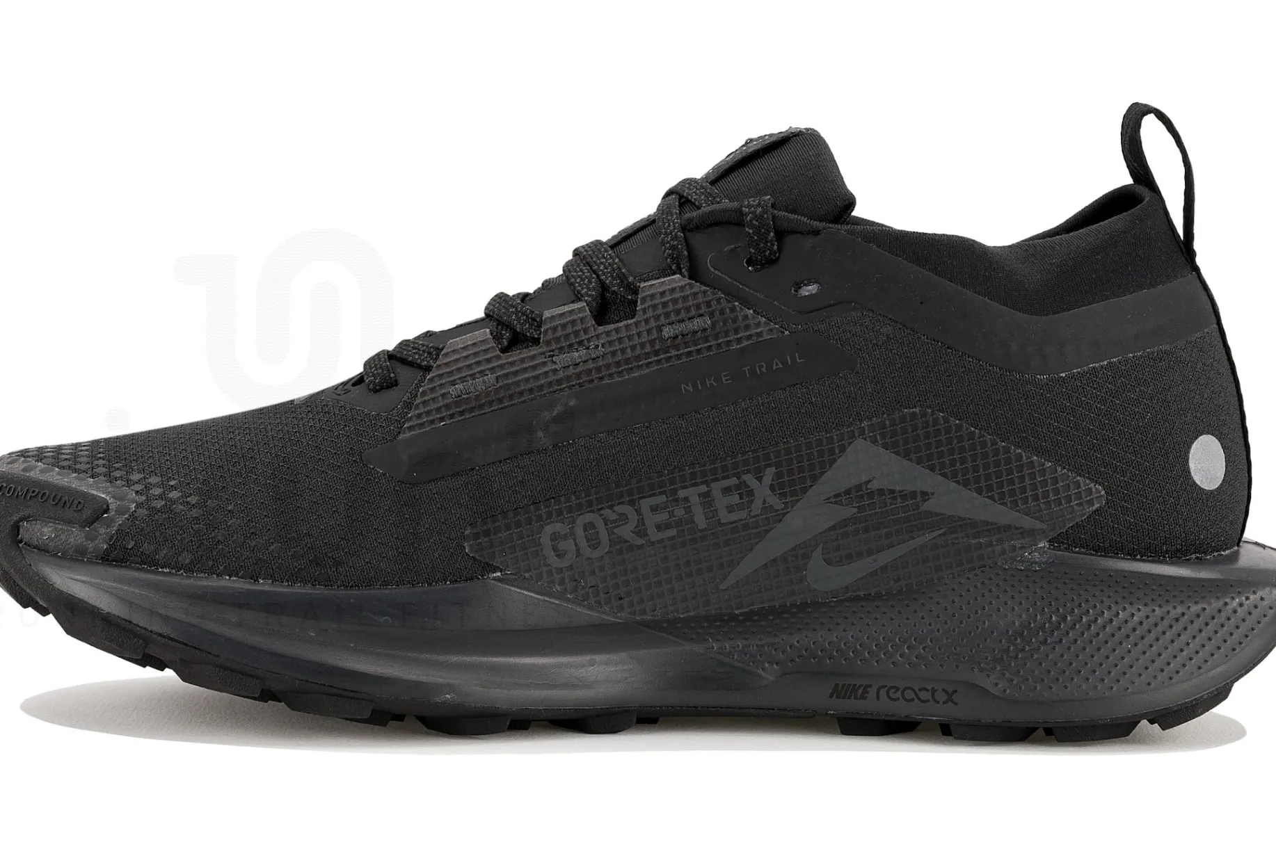 Nike Pegasus Trail 5 Gore-Tex