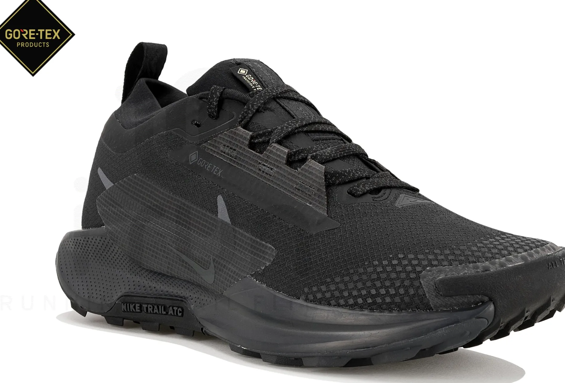 Nike Pegasus Trail 5 Gore-Tex