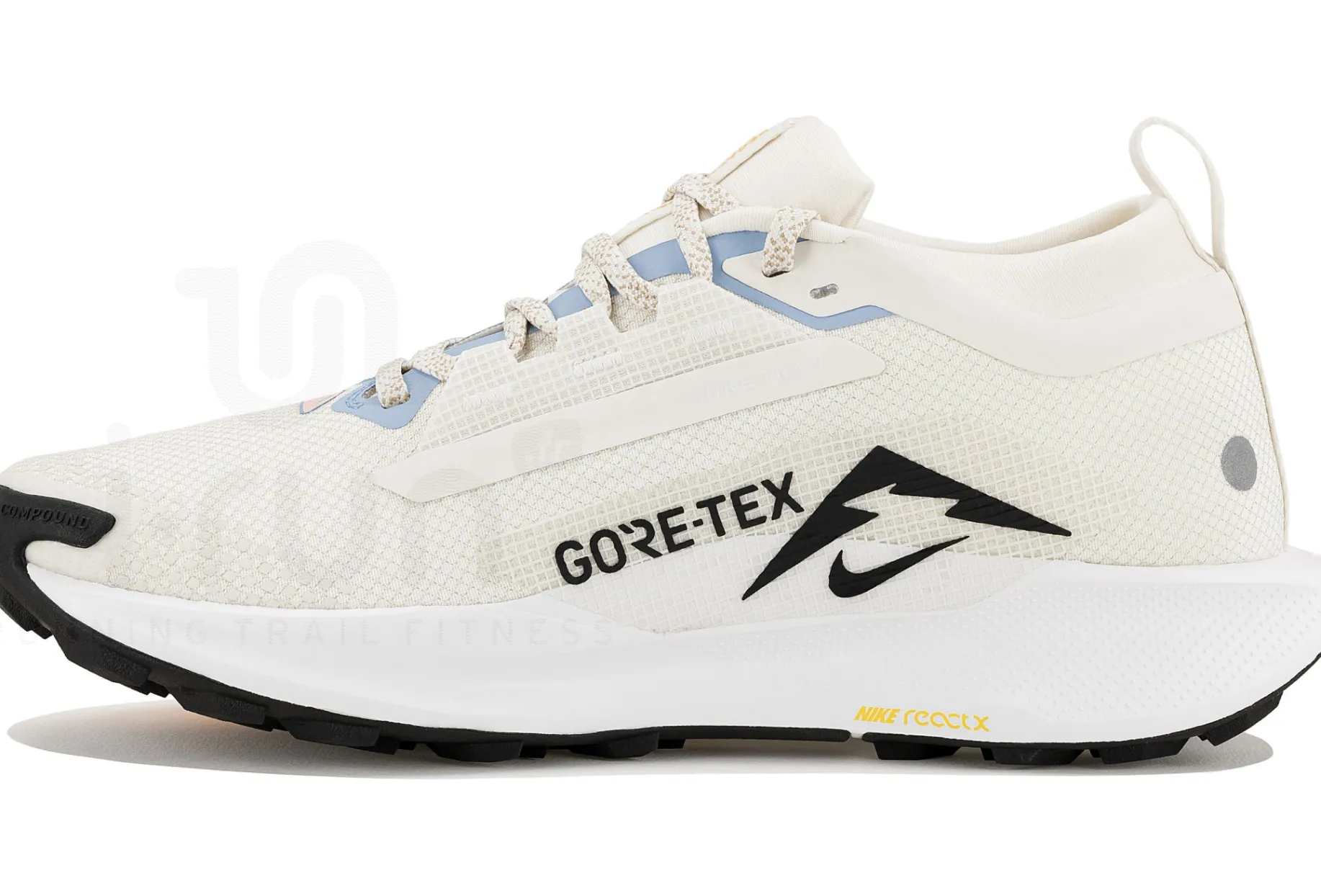 Nike Pegasus Trail 5 Gore-Tex