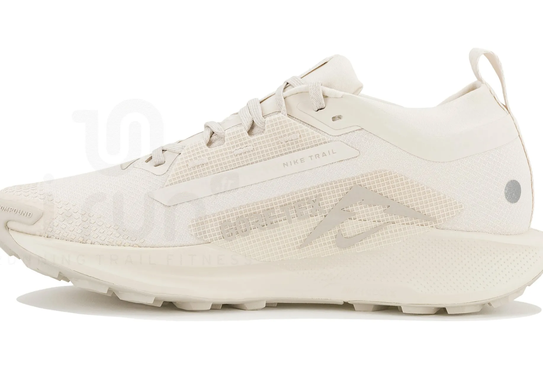 Nike Pegasus Trail 5 Gore-Tex