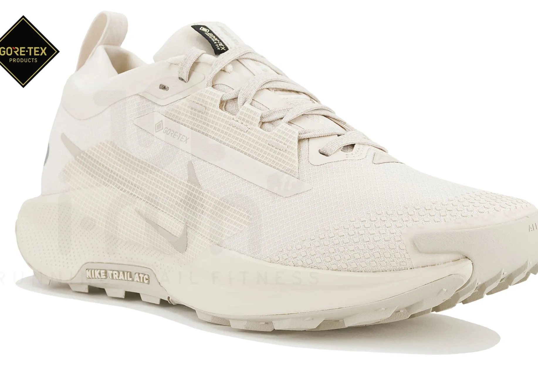 Nike Pegasus Trail 5 Gore-Tex