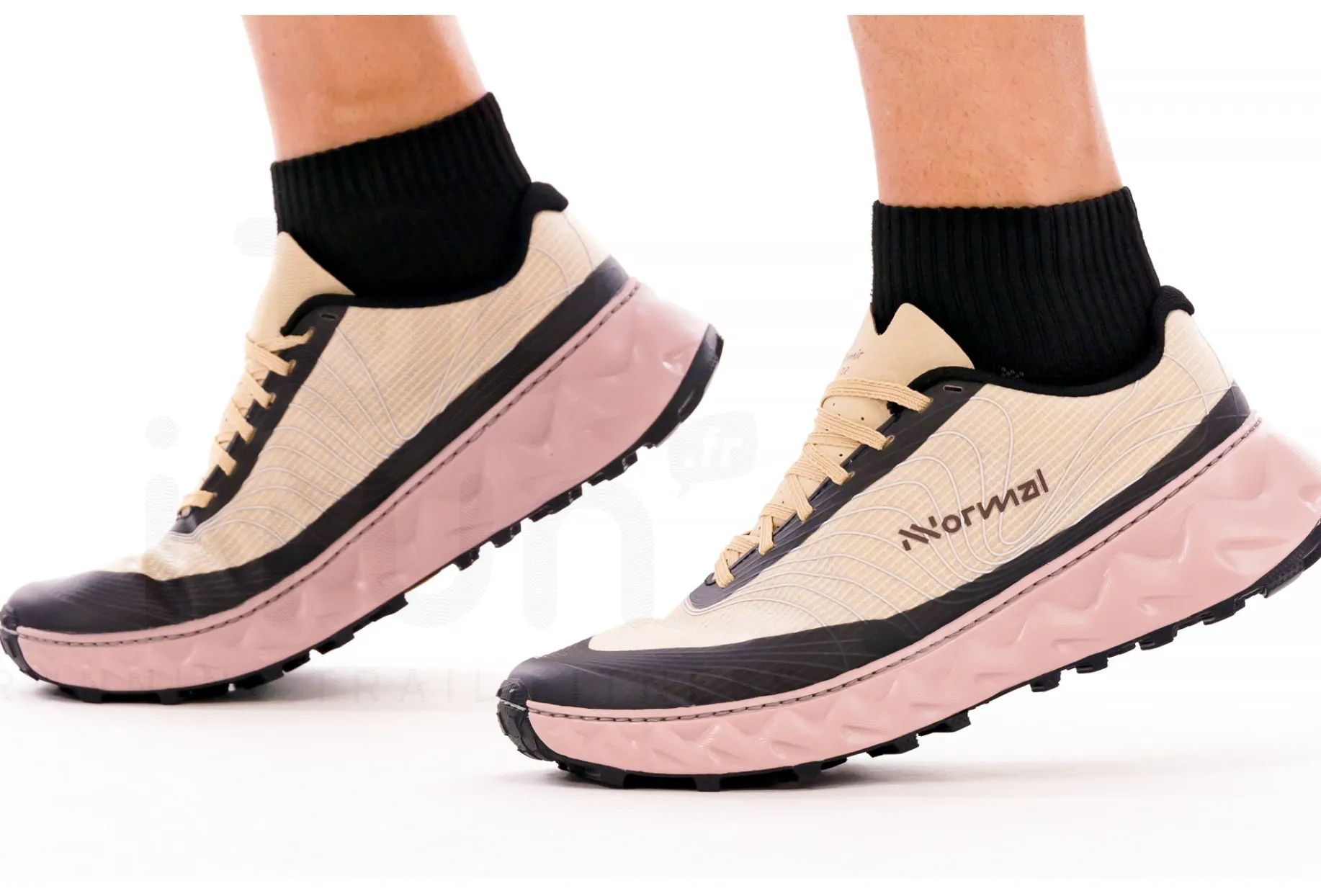 NNormal Tomir 02