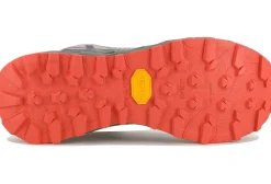 NNormal Tomir 02