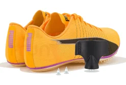Puma evoSPEED Brush 6