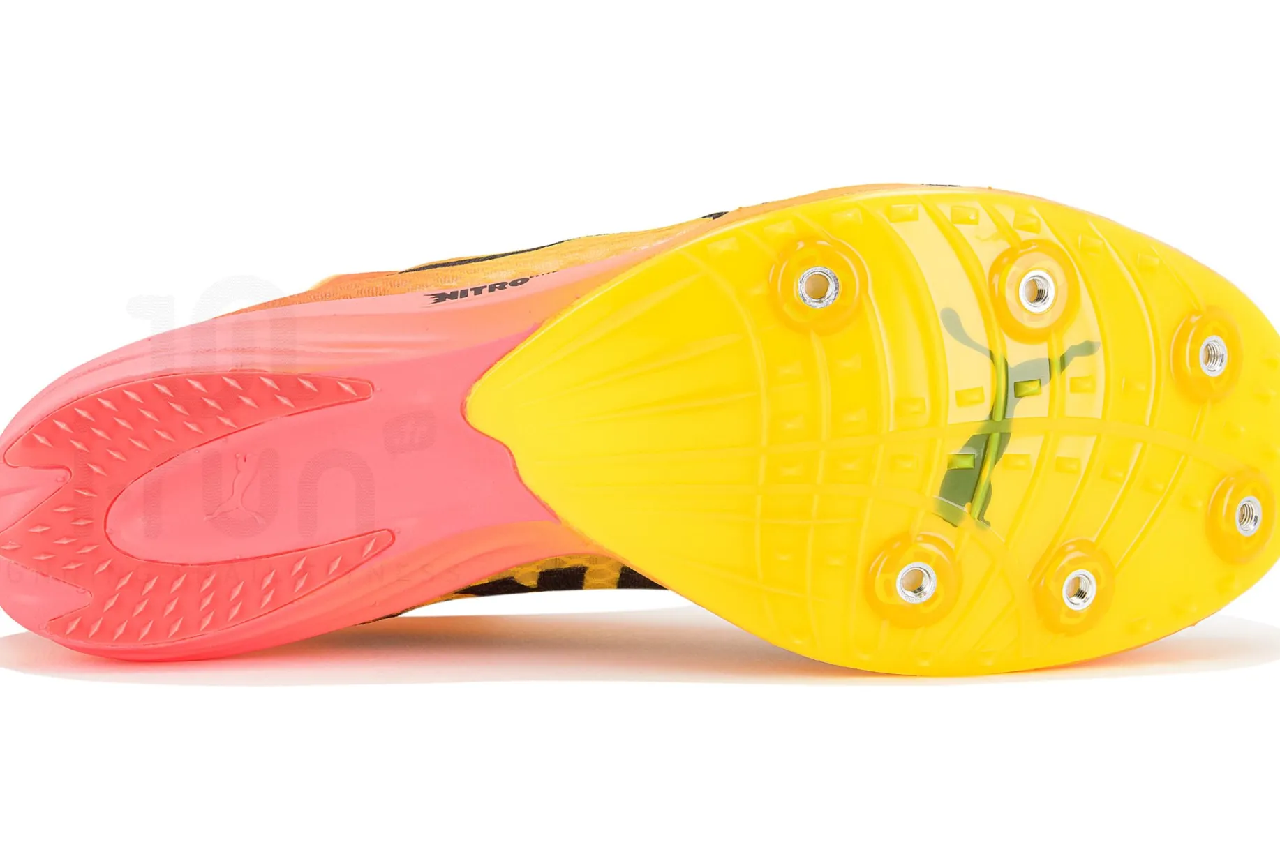 Puma evoSPEED Distance Nitro Elite+ 4