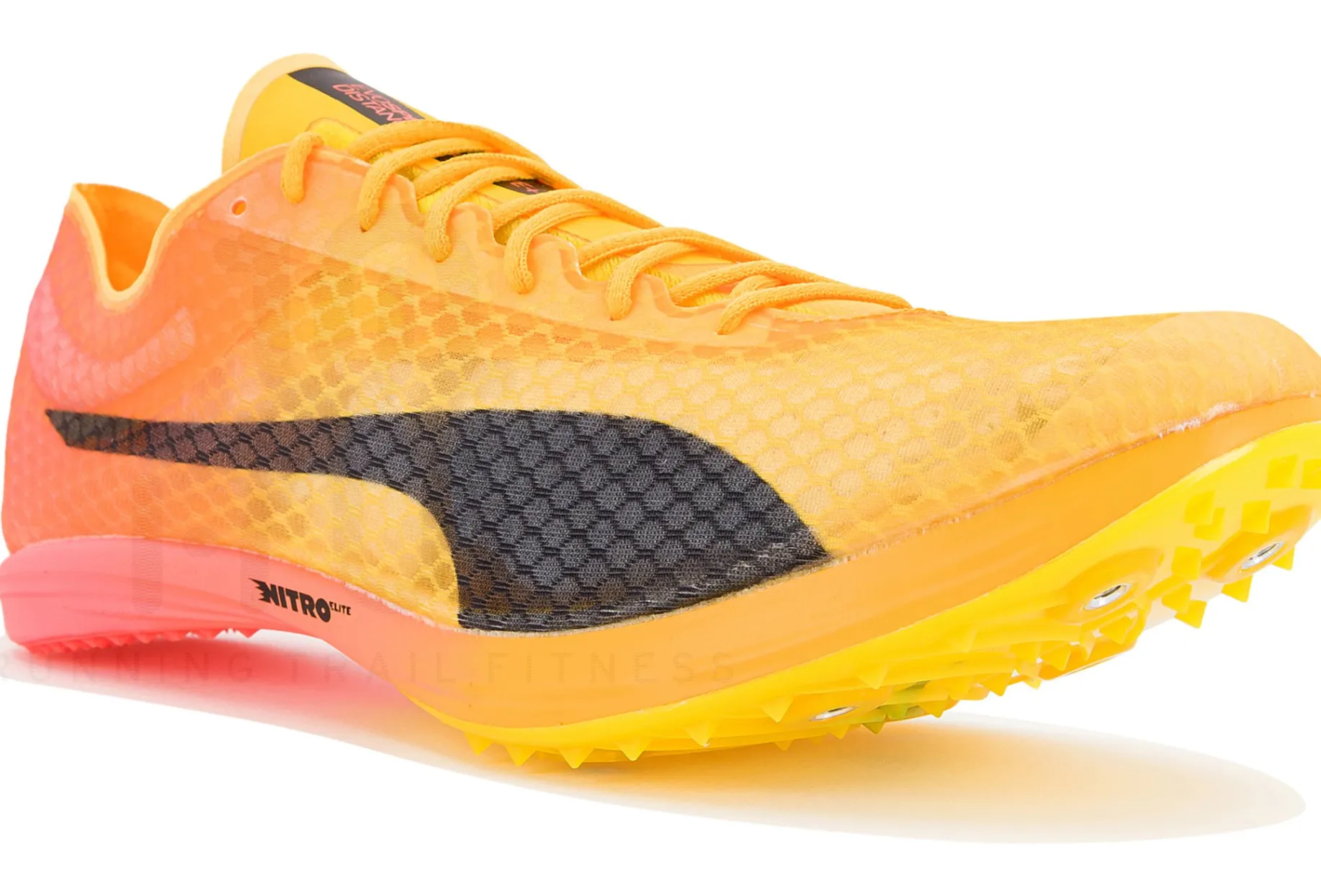 Puma evoSPEED Distance Nitro Elite+ 4