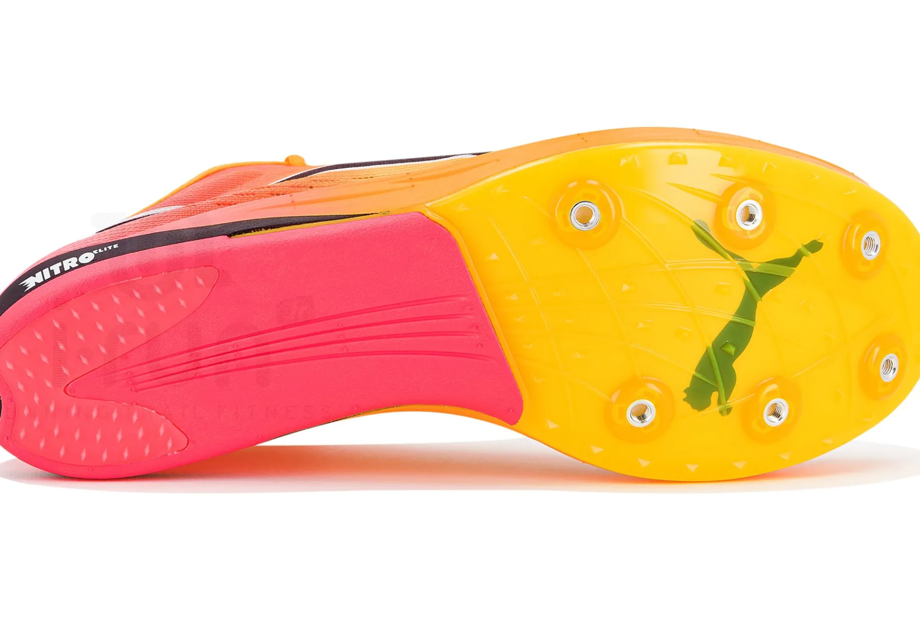 Puma evoSPEED LD Nitro Elite+