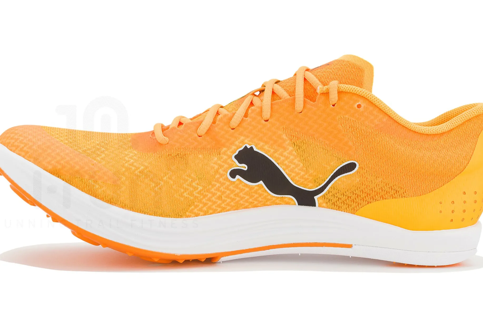 Puma evoSPEED Long Distance