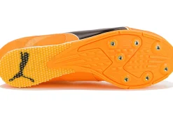Puma evoSPEED Long Jump 11