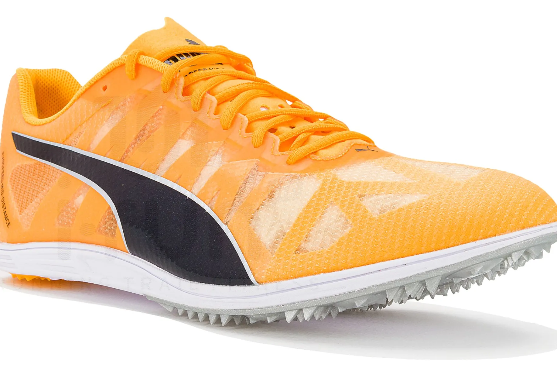 Puma evoSPEED Mid-Distance 4