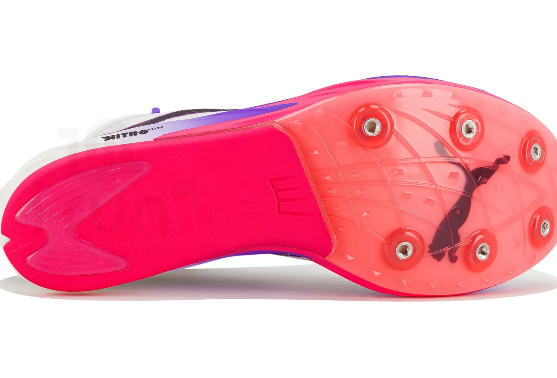 Puma Long Distance Nitro Elite 3 Digitokyo