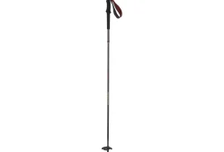 Salomon bastones de marcha Quest Carbon Foldable