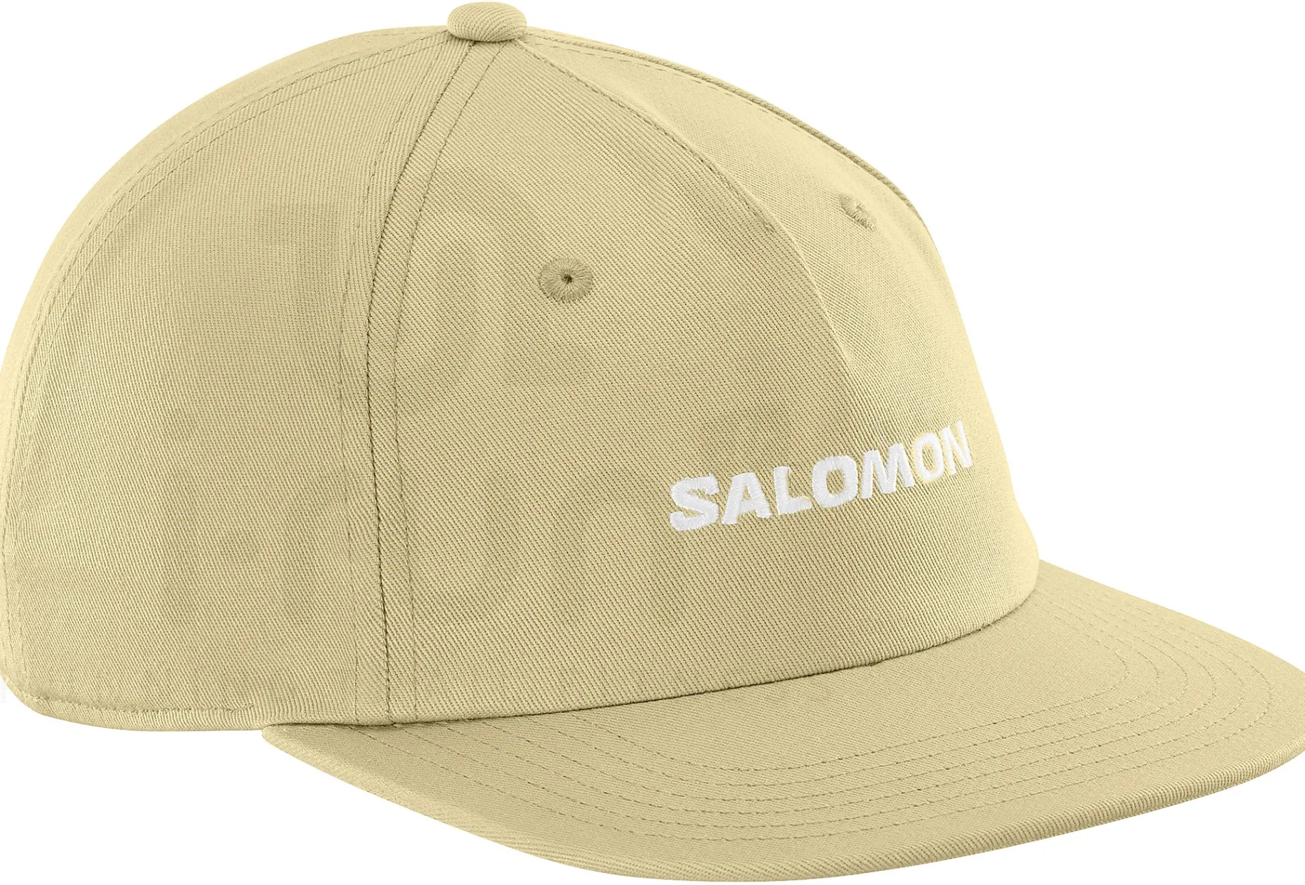 Salomon Logo Flat
