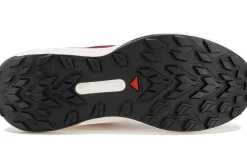 Salomon Genesis Quiver Pack