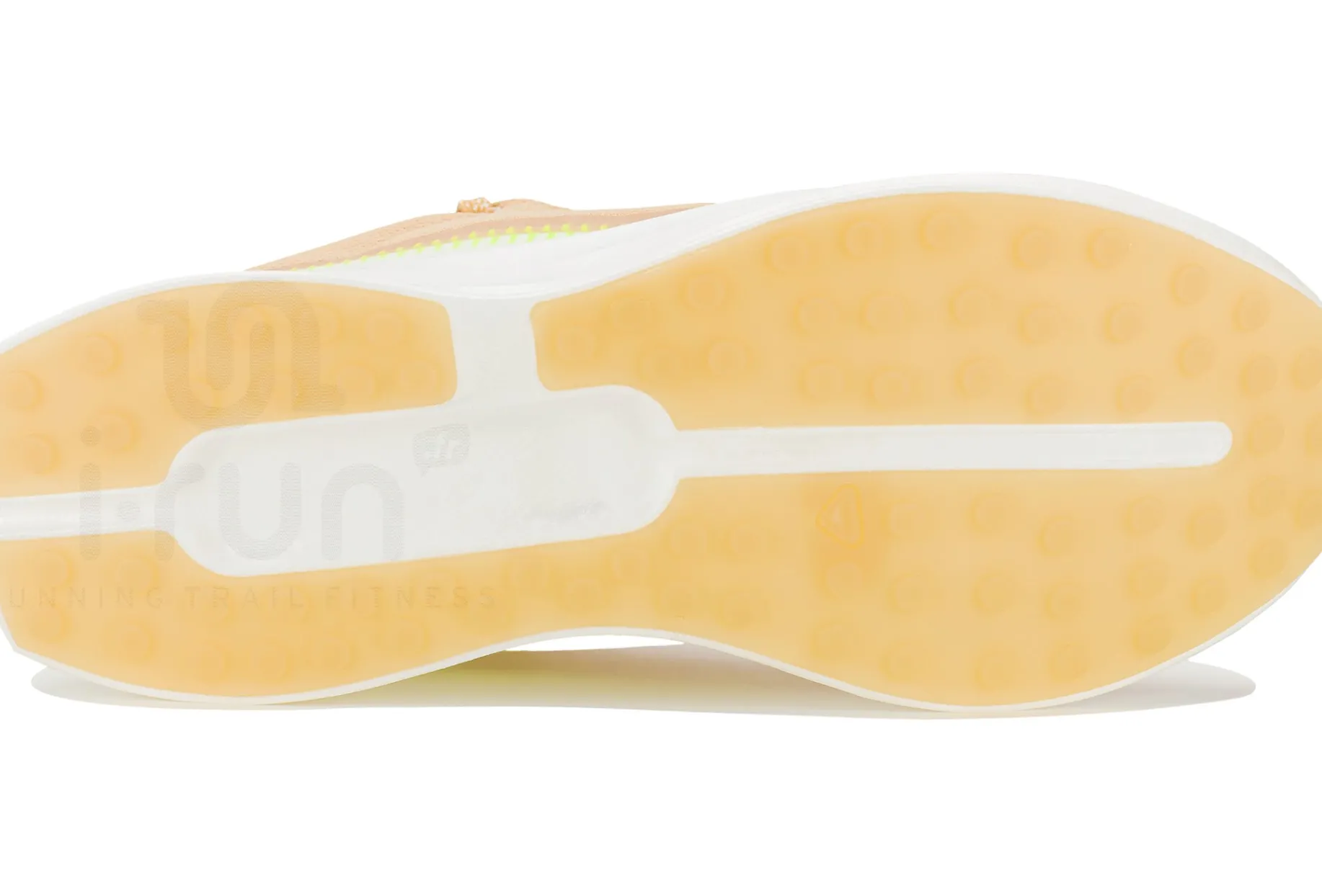 Salomon Index 02