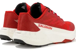 Salomon Pulsar Quiver Pack