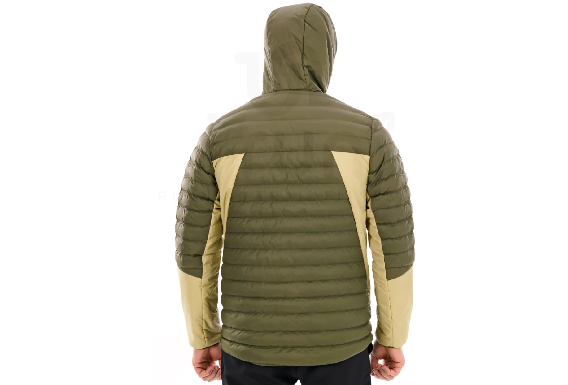 Salomon RFLX HD