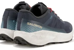 Salomon Vision