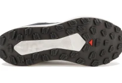 Salomon Vision