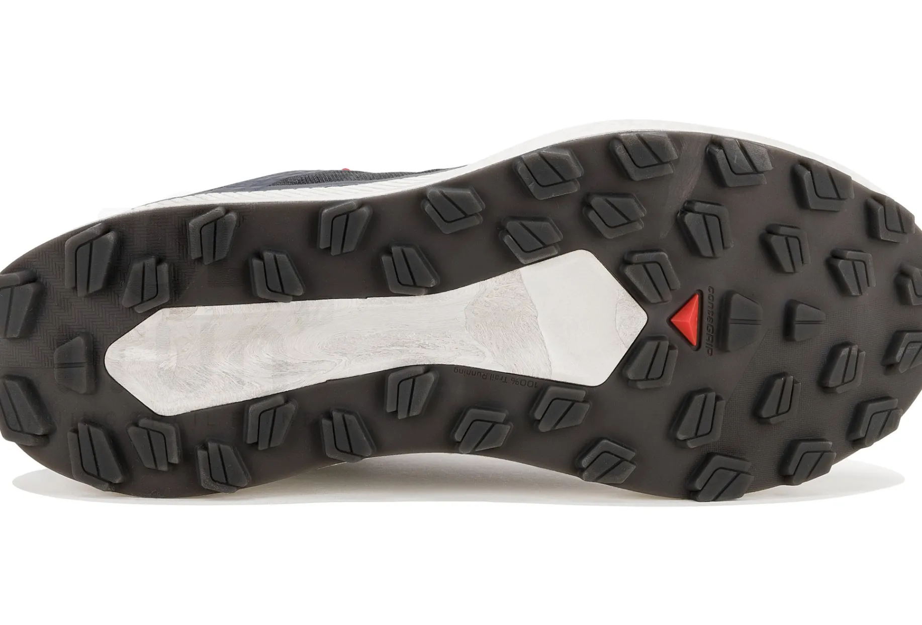 Salomon Vision