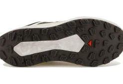 Salomon Vision