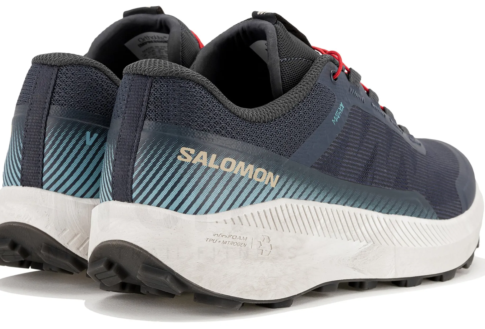 Salomon Vision