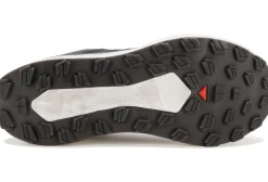 Salomon Vision