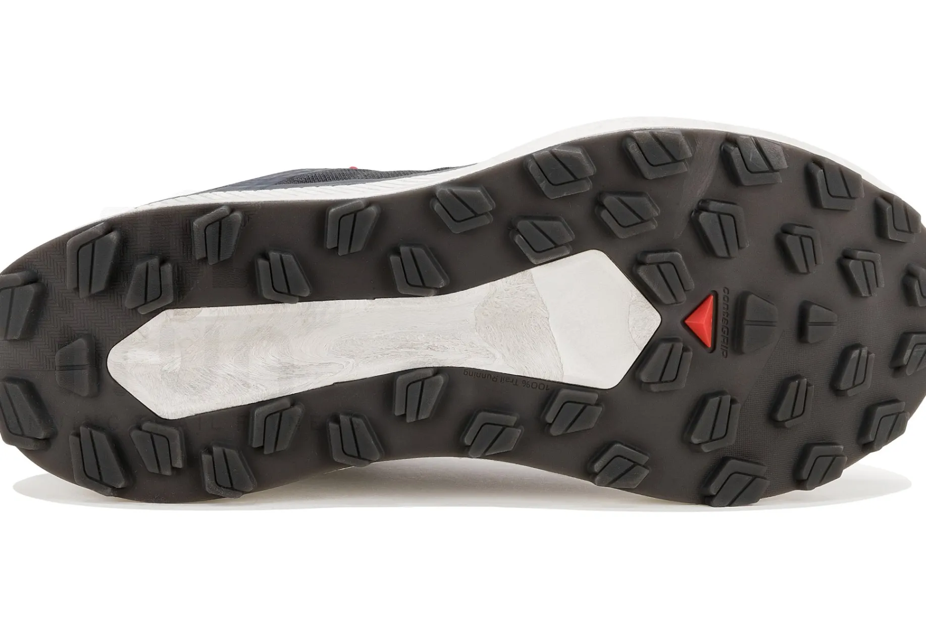 Salomon Vision