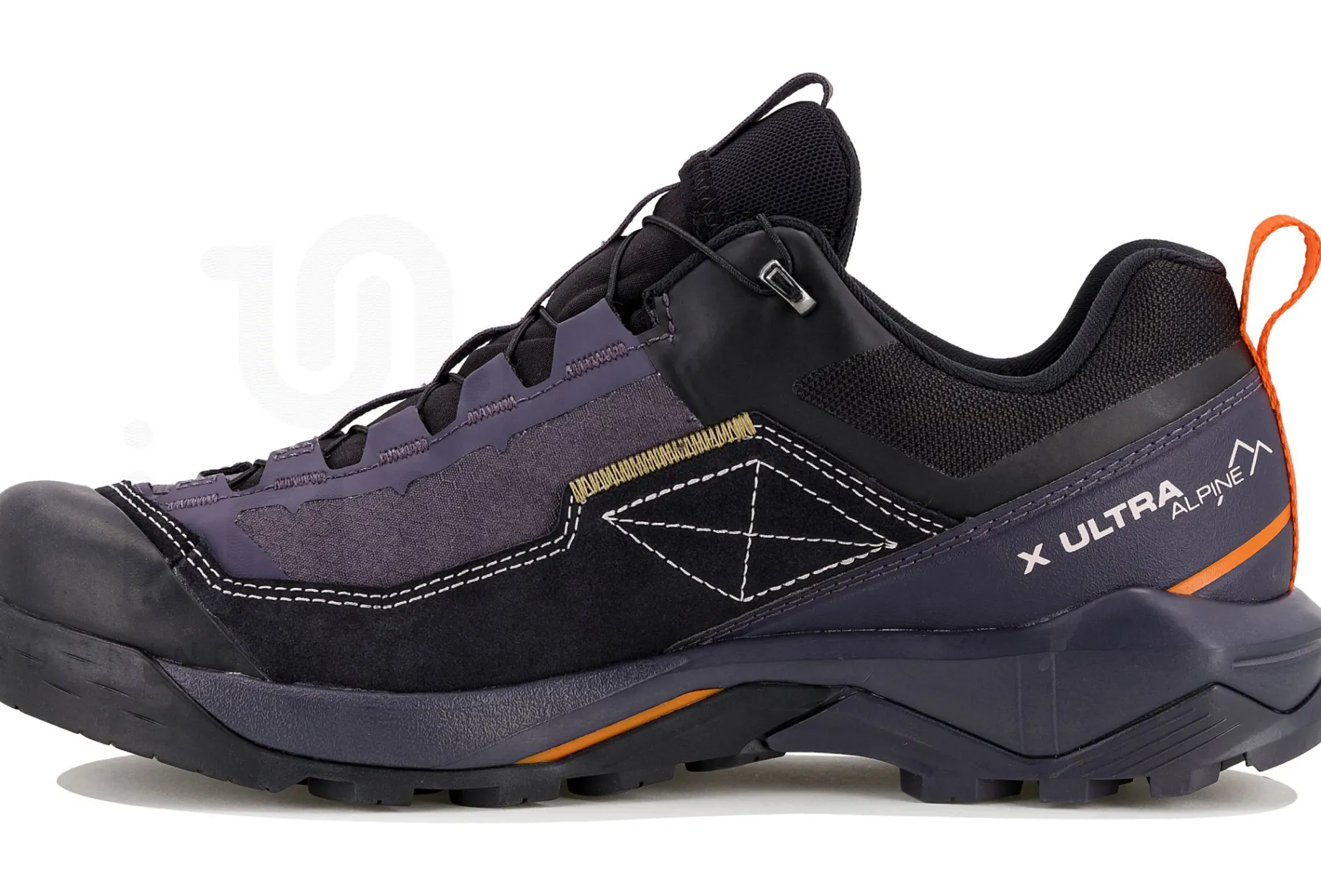 Salomon X Ultra Alpine Gore-Tex