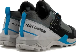 Salomon X Ultra Alpine Gore-Tex