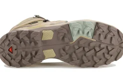 Salomon X Ultra 5 Mid Gore-Tex