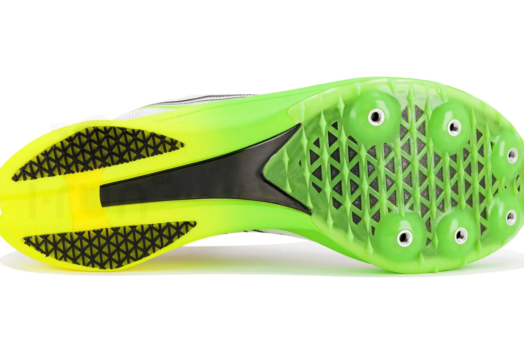 Saucony Endorphin Cheetah