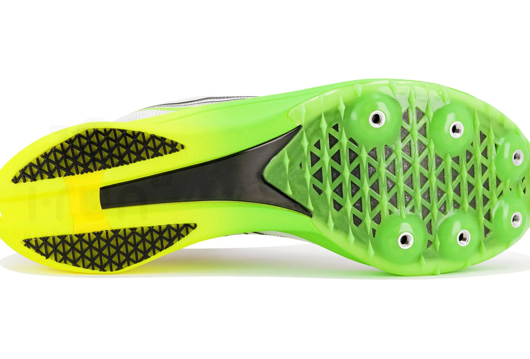 Saucony Endorphin Cheetah
