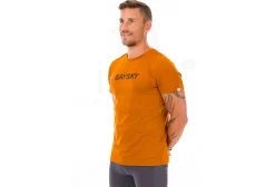 Saysky Logo Pace Logo